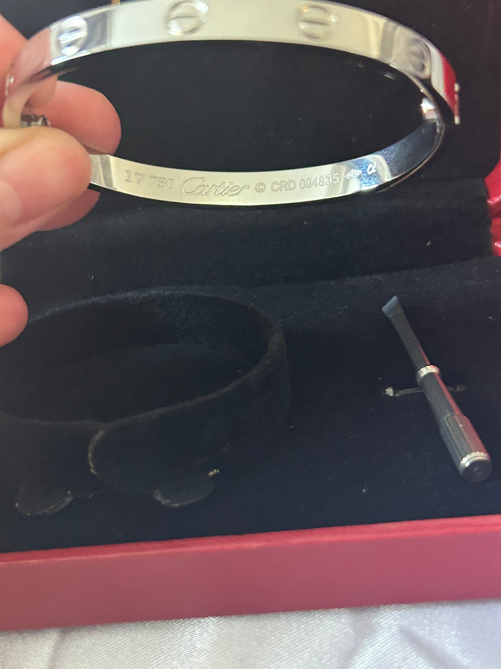 Cerise Silver Screw Bangle
