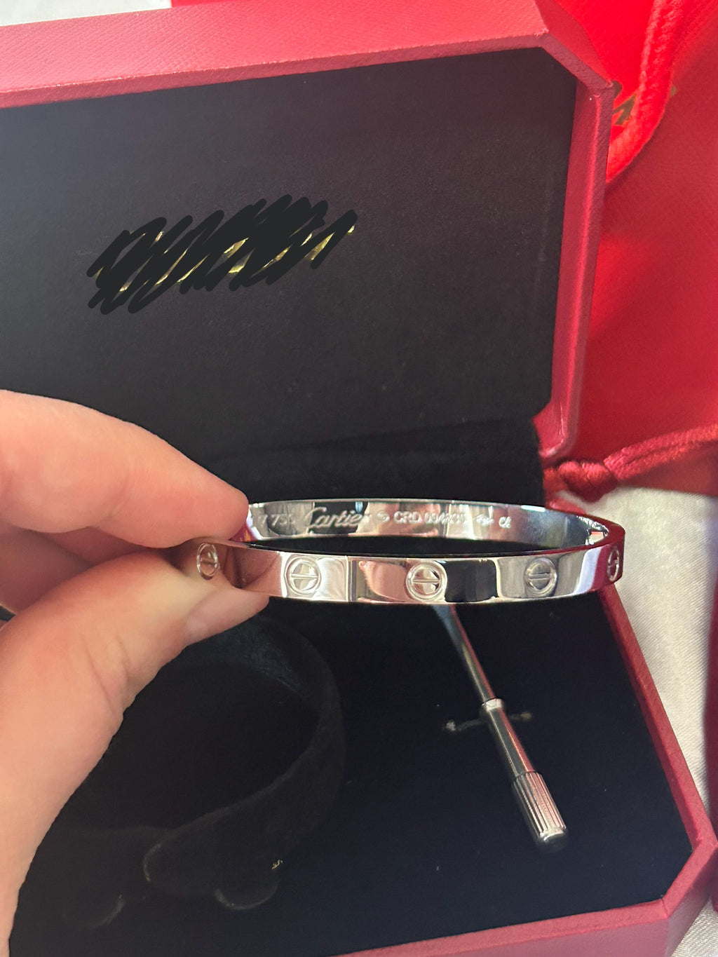 Cerise Silver Screw Bangle